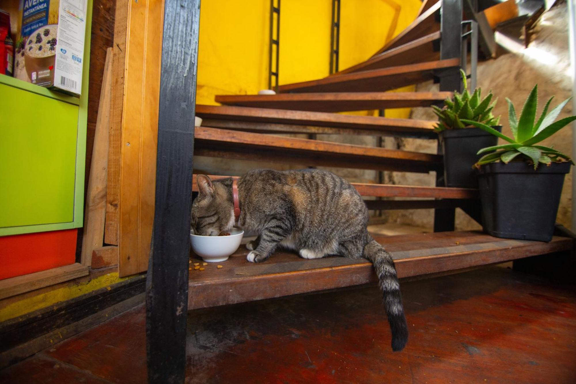 La Casa Del Puerto, Hostal Cultural, Cerro Alegre Valparaíso Dış mekan fotoğraf