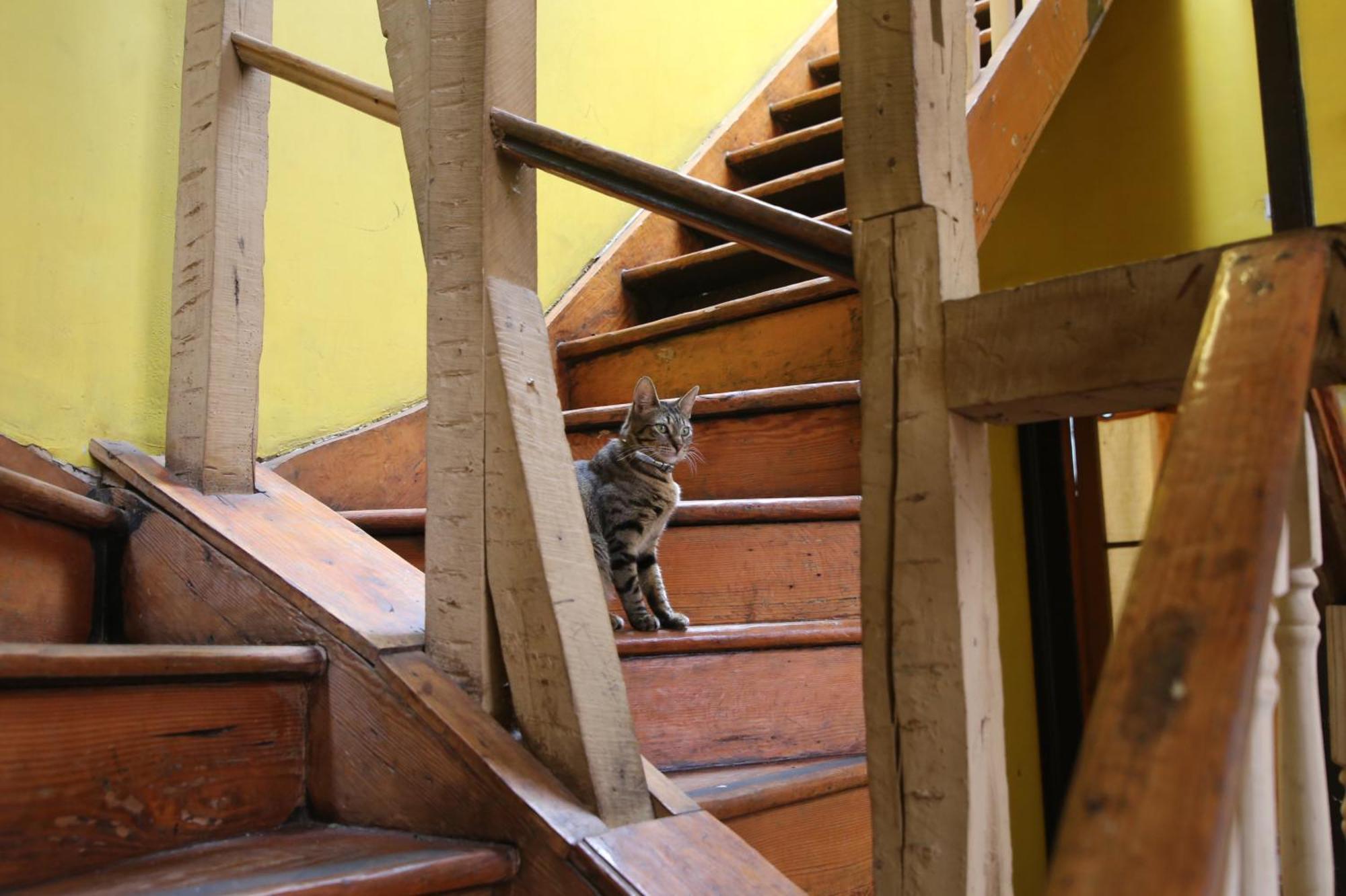 La Casa Del Puerto, Hostal Cultural, Cerro Alegre Valparaíso Dış mekan fotoğraf