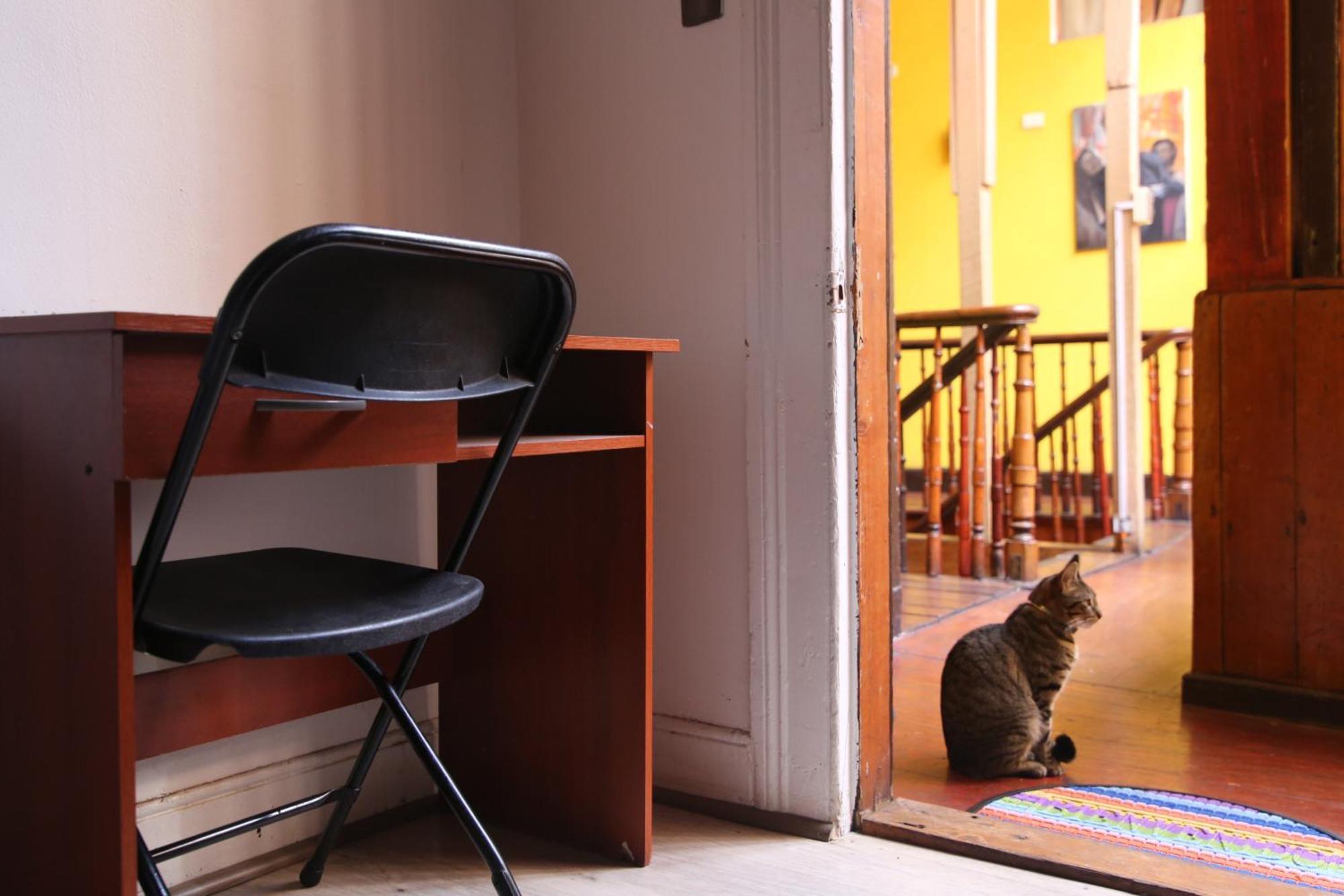 La Casa Del Puerto, Hostal Cultural, Cerro Alegre Valparaíso Dış mekan fotoğraf